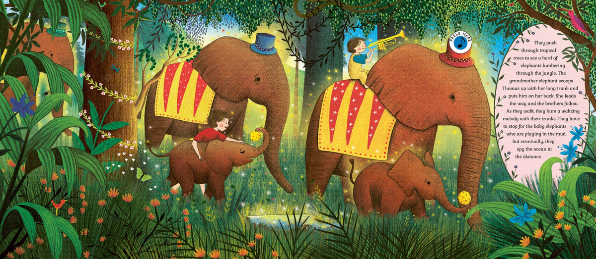 The Story Orchestra: Carnival of the Animals book cover