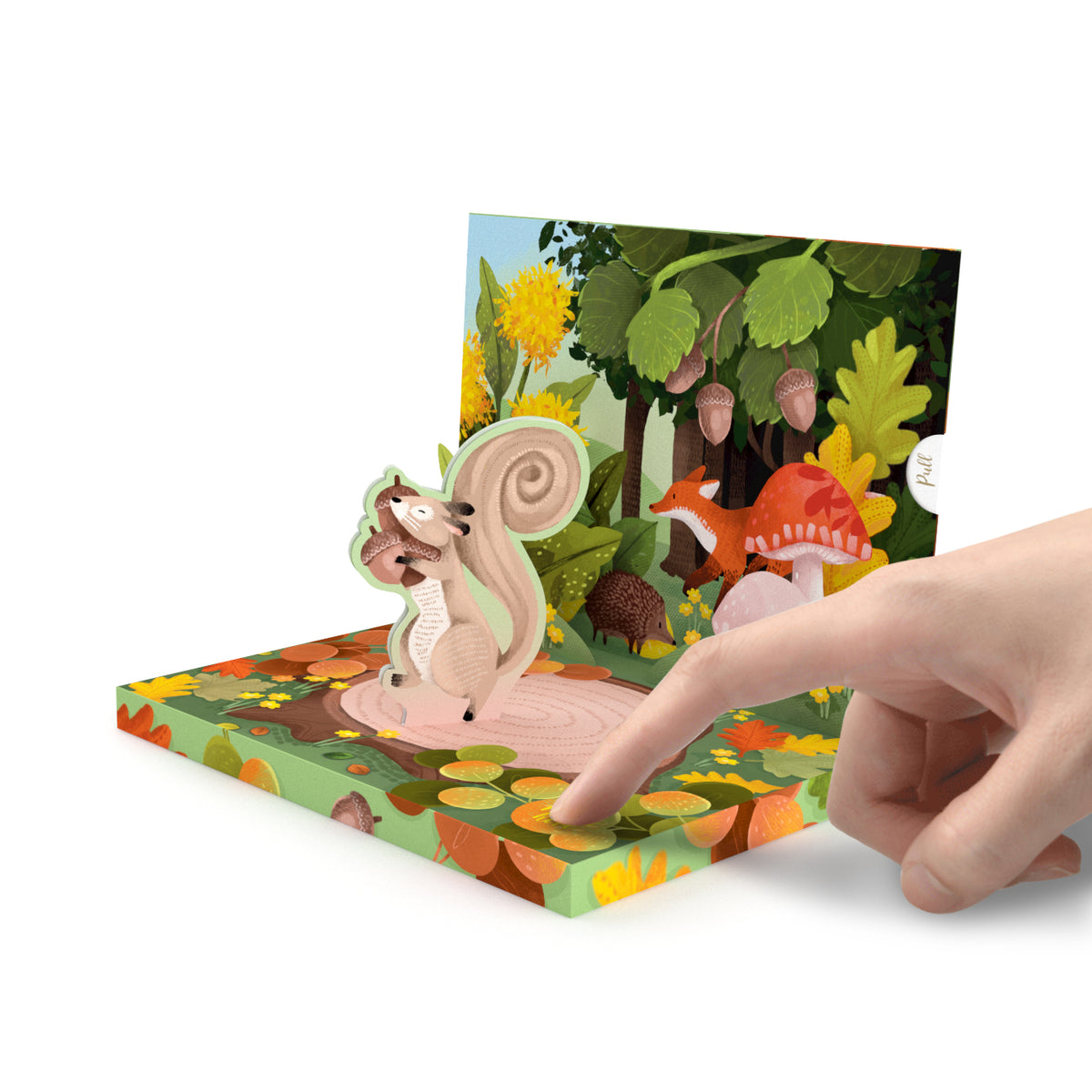 The Squirrel Music Box Card